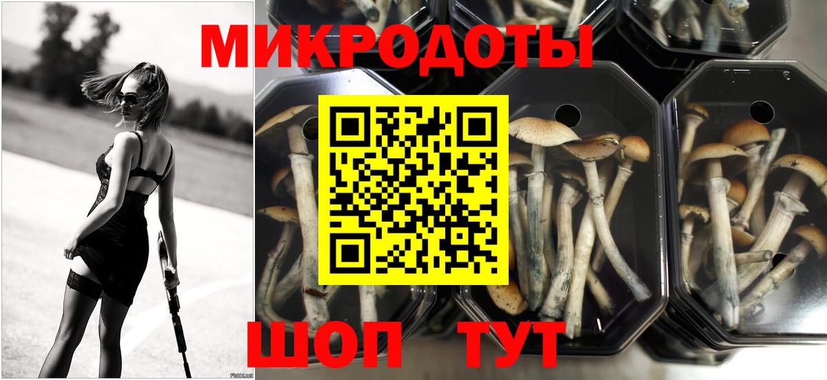 Псилоцибиновые грибы мухоморы Мценск