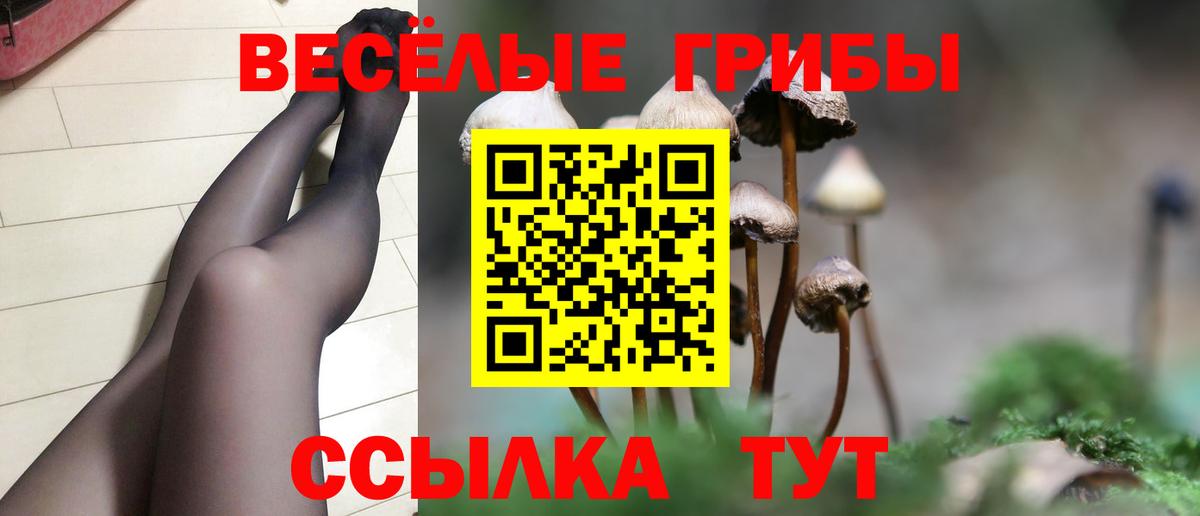 Мценск  Псилоцибиновые грибы Cubensis  даркнет сайт  Псилоцибиновые грибы Magic Shrooms  Вход с VPN 